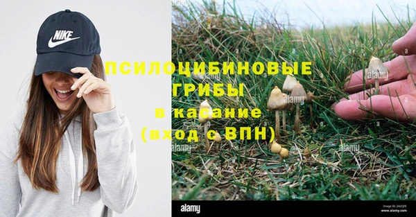 тгк Ельня
