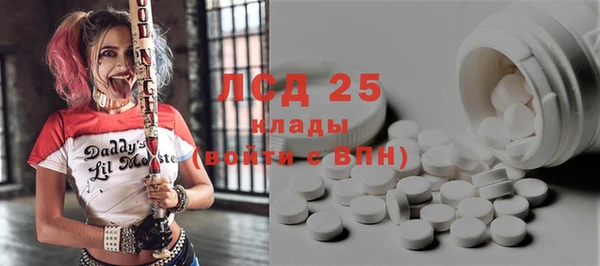 тгк Ельня