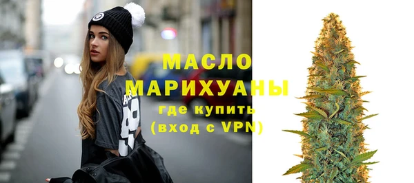 тгк Ельня