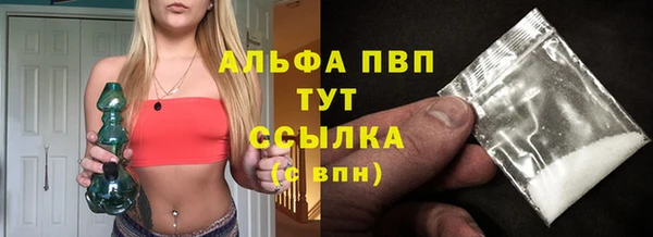 спиды Елизово
