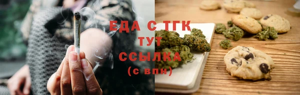 тгк Ельня