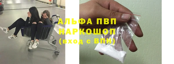 спиды Елизово