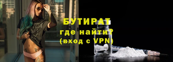 тгк Ельня