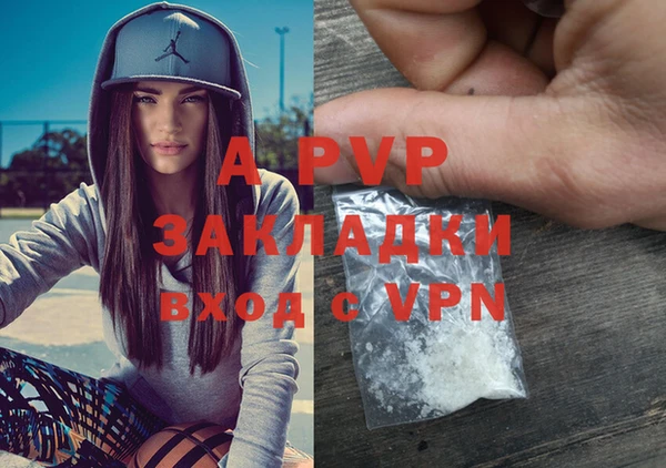 тгк Ельня